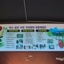 경산동의한방촌 한의원 이미지