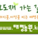 태평농원
