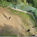 해뜨는 펜션 이미지