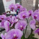 삼익세무회계사무소 이미지