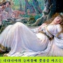 한 여름밤의 꿈 이미지