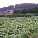 농은농장 이미지