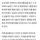 고등학생이 무기징역을 받은 전무후무한 국내 사건.jpg 이미지