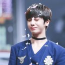 띠아모 이미지