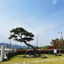 문*주 | 전남 곡성 카페 추천 대형 예쁜 영일도라 01DORA