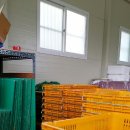 군산용달 이사화물 이미지