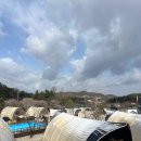[경기/포천] 친구들과 함께 떠난 봄맞이 글램핑, 서울 근교 나들이 코스 추천