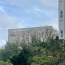 동원새싹어린이집 | 부산 대연동 대연파크푸르지오 준신축 아파트 임장 후기