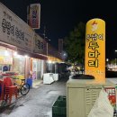 촌닭이이두마리