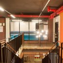 플란다스 개 이미지