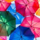 동희모터스 이미지