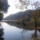 대청호오백리길 대청로하스길 이미지