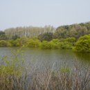 봉선지둘레길 이미지