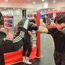 용인대SM복싱클럽 이미지