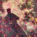 연기면_원수산MTB공원 이미지