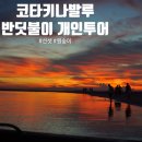 개인 | 말레이시아 코타키나발루 반딧불이 개인 투어 후기 여행사 x (선셋, 코주부원숭이, 저녁식사 포함)