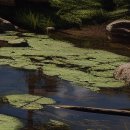 주식회사 제다 이미지