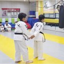 하나 합기도 | 후기 많이 찾는 분들을 위한 충주유아합기도 선택, 실패 없는 체크포인트 안내