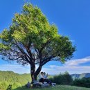 삼척새터농원 민박 | [삼척숙소] 하늘 아래 첫 집 하늘솔황토민박 행랑채/ 솔채 후기
