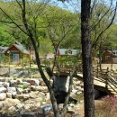 가을 숲으로 놀러가자 이미지