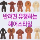 한송아헤어