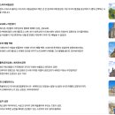 [개포1] 독일 역사&독일 미술관 투어 | 🇩🇪 프라하 근교 여행 드레스덴 필수 코스, 당일 투어 추천