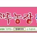 팔거리농장 네이버블로그