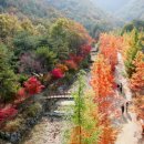 대전(동) 이미지