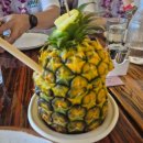 하와이안 훌라댄스 | 하와이여행 2일차 / 폴리네시안 문화센터