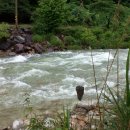 계곡휴펜션 이미지