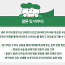 미유펫동물병원