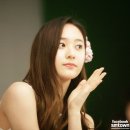 크리스탈장 이미지