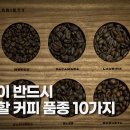 커피품종 이미지