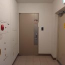 팰리스카운티 이미지