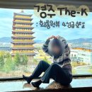 황룡유스호스텔 | 경주 더케이호텔 황룡원뷰 트윈룸 내돈내산 #인스타핫플