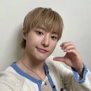 서울 마이티 체육관 | 2025 WOODZ 콘서트 일정·티켓팅 전략｜잠실실내체육관 좌석·주차팁까지