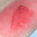 뽀송 블러🍓 컬러그램 누디 블러 틴트 내돈내산 베리비키 이븐피치 베리몰리 비교 발색 후기