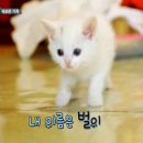 (주)정우 이미지