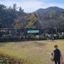 생거진천 유아숲체험원 이미지