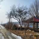 홍천리버하우스 이미지