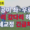 파크골프(park golf) 공 똑바로 안갈때 자세 교정 긴급 처방 . 헤드 업(head up), 스웨이(sway) 교정 이미지