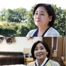 홍여진 카카오 검색결과