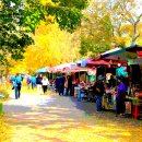 (11/16) 고창 선운산 단풍산행에 동아리님들 초대합니다~ 이미지