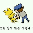 짝꿍 이미지