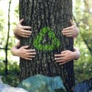 고온환경자원 이미지