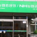 가교인력 이미지