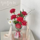 릴리플라워 이미지