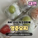 영춘모찌 | 대전 대흥동 착한가격 과일모찌 내돈내산 후기
