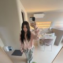 네일 플로콩