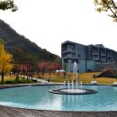 마이다스 이미지